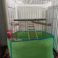 قفس طوطی سان