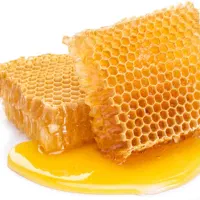 عسل و ژل رویاا|خوردنی و آشامیدنی|دیلم, |دیوار