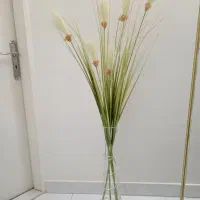 گلدان کنار سالنی