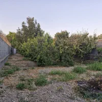 ملارد لم آباد کوچه رضوان ۵۸۰ متر باغ چهار دیواری|فروش زمین و ملک کلنگی|تهران, میدان میوه و تره‌بار مرکزی|دیوار