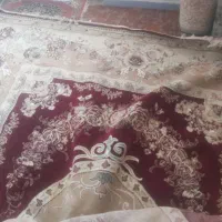 قالی زیبا و تمیز