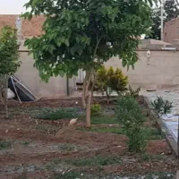 اجاره-خانه-روستایی