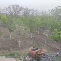 باغ جاده کلات معاوضه با ماشین