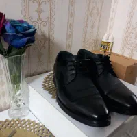 کفش اداری