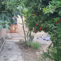خانه باغ در آنجیلاق جاده قدیم طالقان|فروش خانه و ویلا|تهران, وردآورد|دیوار