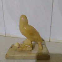 کلکسیونی بی نظیر تک