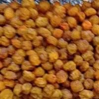 الو شمس طرقبه