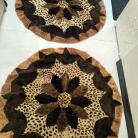 زیبا نو