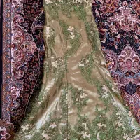 لباس مجلسی|لباس|شیراز, حومه شیراز|دیوار