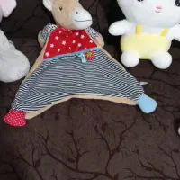 تدی موزیکالی|کلکسیون و سرگرمی|مهاباد (آذربایجان غربی), |دیوار