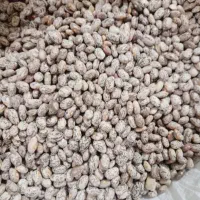 لوبیا چیتی و قرمز