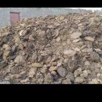 کودگاوی|عمده‌فروشی|سراوان, |دیوار