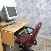 کتابخانه|کتابخانه، شلف، قفسه‌های دیواری|همدان, |دیوار