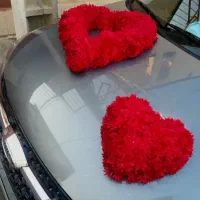 ماشین عروس و جایگاه عروس و داماد