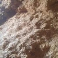 کاه گندم تمیز