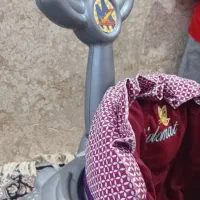 روروک دلیجان|کالسکه و لوازم جانبی|فارسان, |دیوار