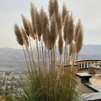 ۶۰۰متر اصطلک طبقاتی برند۳۰۰متر تراس استخر اختصاصی|اجارهٔ خانه و ویلا|لواسان, |دیوار