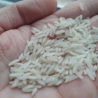 برنج هاشمی درجه ۱|خوردنی و آشامیدنی|پره‌سر, |دیوار