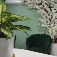 اجاره لاین در سالن زیبایی