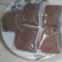 دانه ی کیوی خیاری اصل تضمینی