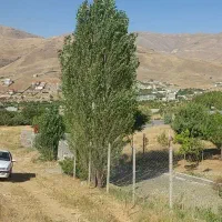 زمین کشاورزی
