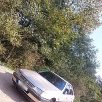 پژو 405 مدل 84 دوگانه