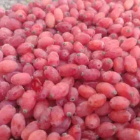 زرشک تازه درشت دون شده