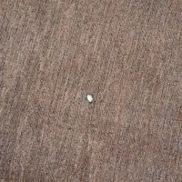 روفرشی ۱۲ متری|روفرشی|قم, انصار‌الحسین|دیوار