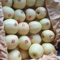 سیب کوهپایه|خوردنی و آشامیدنی|سیلوانه, |دیوار