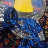 لوازم سوار کاری|تجهیزات ورزشی|میاندوآب, |دیوار