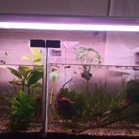 مهتابی پلنت آکواریوم