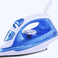 اتوبخار 1229 stean iron