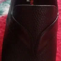 کفش|کیف، کفش، کمربند|آذرشهر, |دیوار