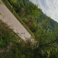 زمین ۲۴۰۰ متر / در ارتفاعات منطقه/قبل از تاکام|فروش زمین و ملک کلنگی|پایین هولار, |دیوار