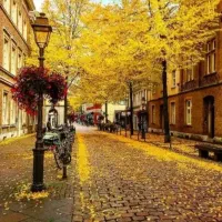 راهنمایی و مشورت تفریح