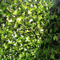 گرین وال ،چمن مصنوعی ،فنس چمنی