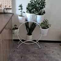 ۵عدد گل طبیعی با گلدان