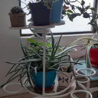 استند گل فرفوژه|گل مصنوعی|فردیس, فردیس|دیوار