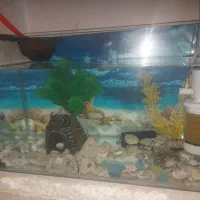 اکواریم درحدنو بالوازم شرکتی