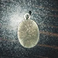 عطیقه یا زیر خاکی میجوشه تو سرکه یکسره گردبند