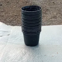 گلدان مناسب کاشت سبزه نارنج قیمت ۳/۲۰۰تومان