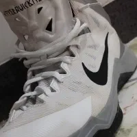 کفش والیبال/ بسکتبال نایک زوم اورجینال|کیف، کفش، کمربند|کرمانشاه, |دیوار