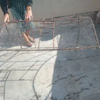 تله پرمده|لوازم جانبی حیوانات|بومهن, |دیوار