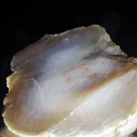 فروش سنگ عقیق زیبا بینظیر|بدلیجات|شیراز, تاچارا|دیوار