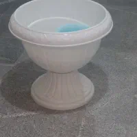 گلدان سفالی و پلاستیکی|گل و گیاه طبیعی|هشتگرد, فاز ۳ مهستان|دیوار