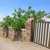 450متر باغ 10 ساله سند قطعی کنتور برق اختصاصی