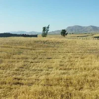 فروش زمین کشاورزی وباغی|فروش دفتر صنعتی، کشاورزی، تجاری|ایلام, |دیوار