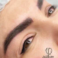 مدل میکروبلیدینگ شیدینگ لب خطچشم وریموو توسط استاد