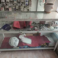 فروش دکور و لوازم جانبی موبایل به دلیل تغییر شغل|لوازم جانبی موبایل و تبلت|ماهدشت, |دیوار