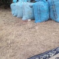 کود خاک برگ بلوط برای باغچه و گل کیسه ۲۵کیلوفقط۲۵۰|گل و گیاه طبیعی|کرمانشاه, |دیوار